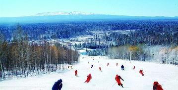 洛阳滑雪场爆料视频最新,冰雪奇缘体验开启! 第3张 洛阳滑雪场爆料视频最新,冰雪奇缘体验开启! 第3张